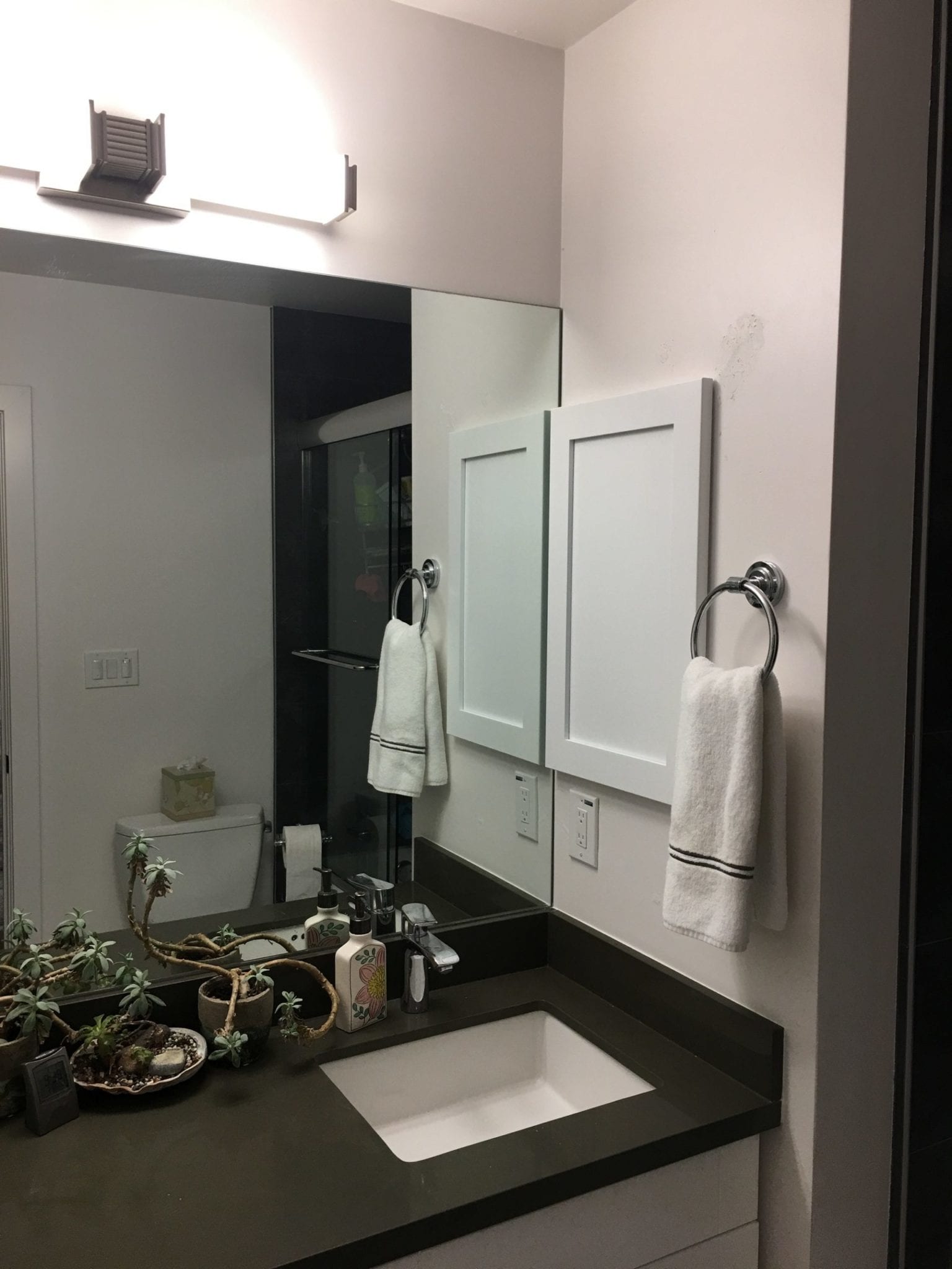 27 W x 29 H x 9 D Wall Mounted Bathroom Cabinet